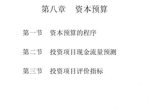 财务管理    资本预算