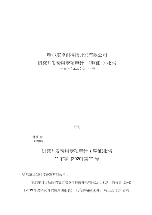 研究开发费用专项审计报告