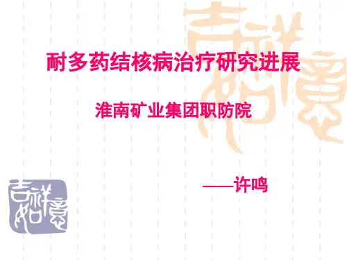 耐多药结核病治疗