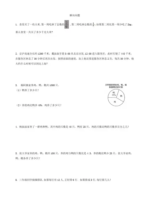 人教版六年级下册数学  小升初总复习  数与代数解决问题  专项练习