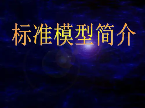 标准模型