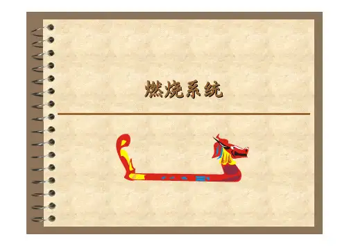 燃气炉燃烧系统讲解_