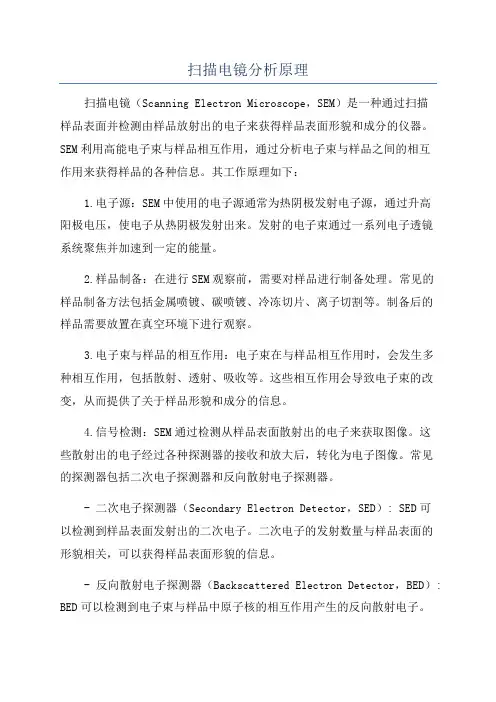 扫描电镜分析原理