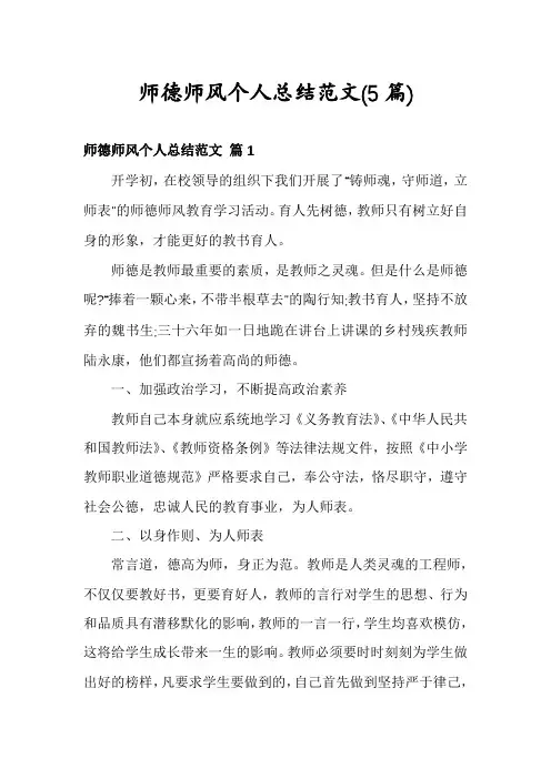师德师风个人总结范文(5篇)