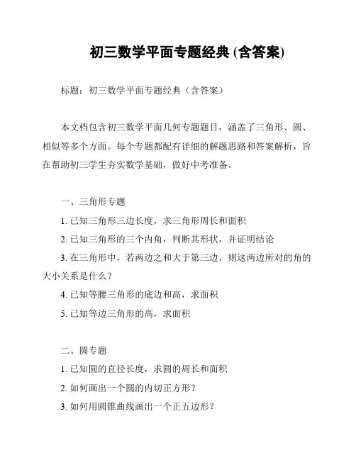 初三数学平面专题经典 (含答案)