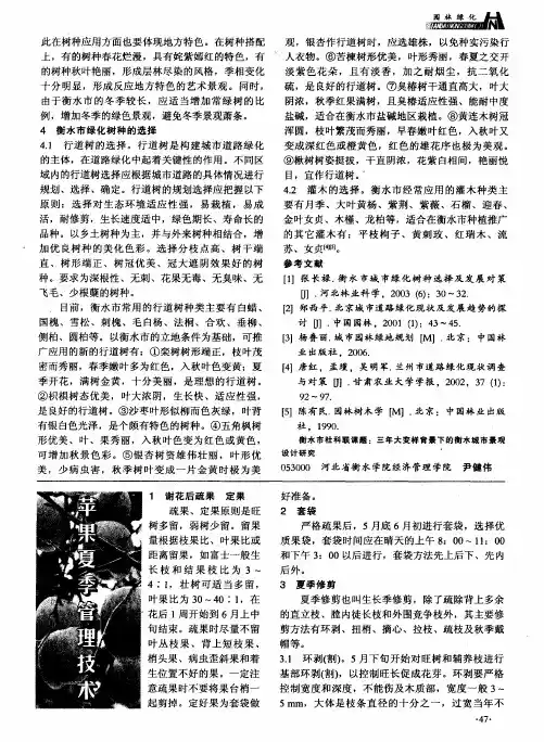 苹果夏季管理技术
