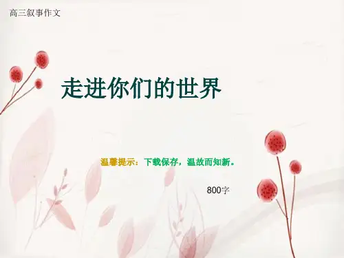 高三叙事作文《走进你们的世界》800字
