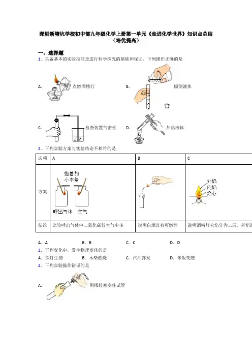 深圳新塘坑学校初中部九年级化学上册第一单元《走进化学世界》知识点总结(培优提高)