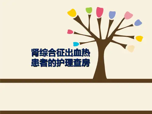 肾综合征出血热的护理查房ppt课件
