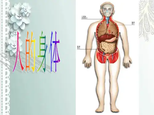 细胞是怎样构成生物体的PPT课件
