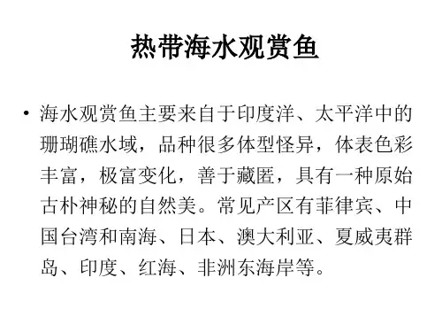 《水生观赏动物养殖学》课件海水观赏鱼