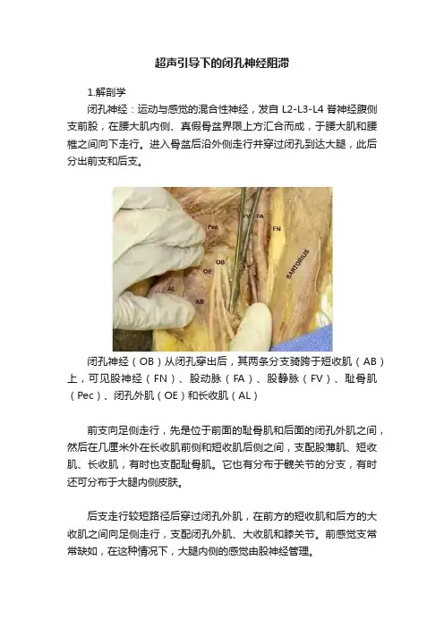 超声引导下的闭孔神经阻滞