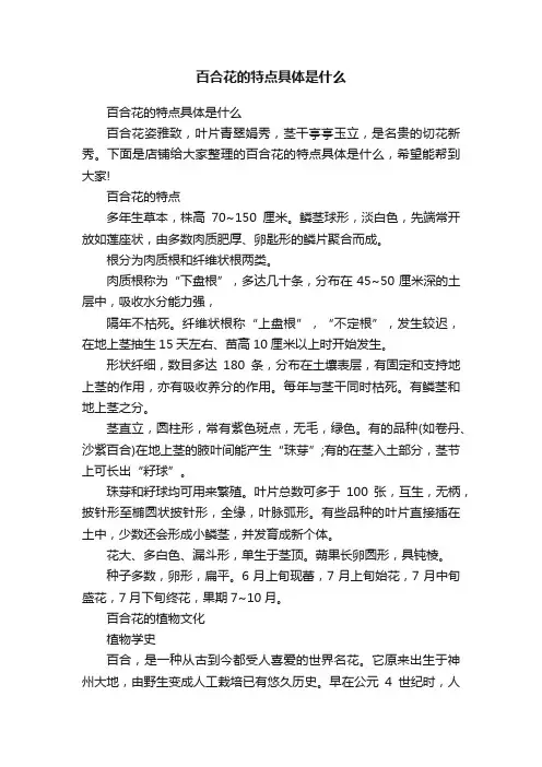 百合花的特点具体是什么