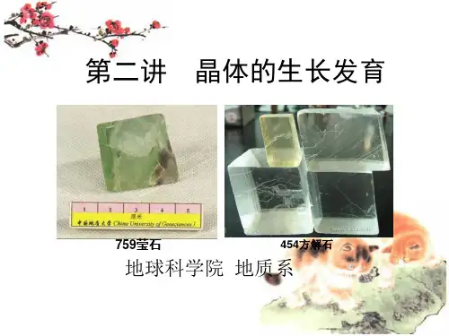 2第二讲 晶体的生长发育