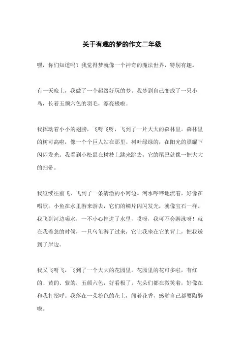 关于有趣的梦的作文二年级