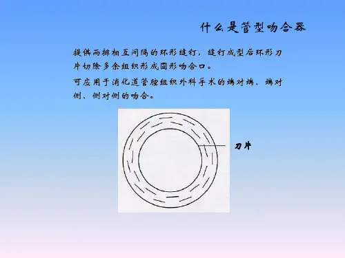 Panther-管型吻合器介绍