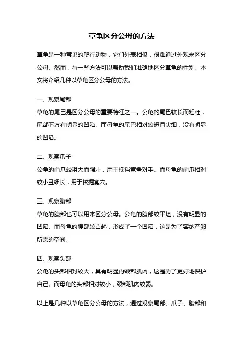 草龟区分公母的方法