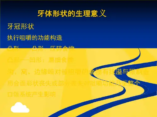 牙体形态的生理意义(2)(共10张PPT)