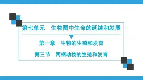 第7单元  第1章 第3节 两栖动物的生殖和发育