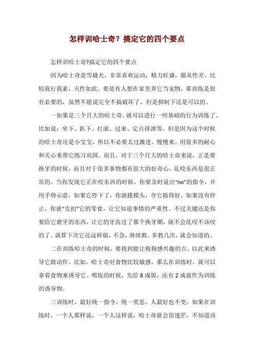 怎样训哈士奇？搞定它的四个要点