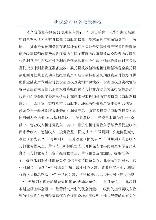 担保公司财务报表模板