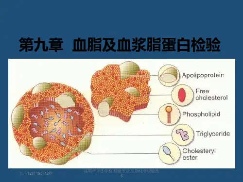 第九章血脂及血浆脂蛋白检验PPT课件
