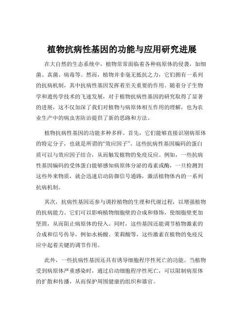 植物抗病性基因的功能与应用研究进展
