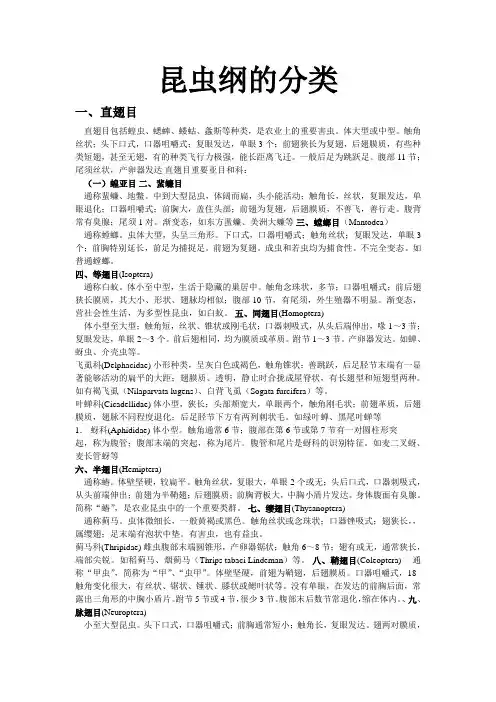 昆虫纲的分类.3doc