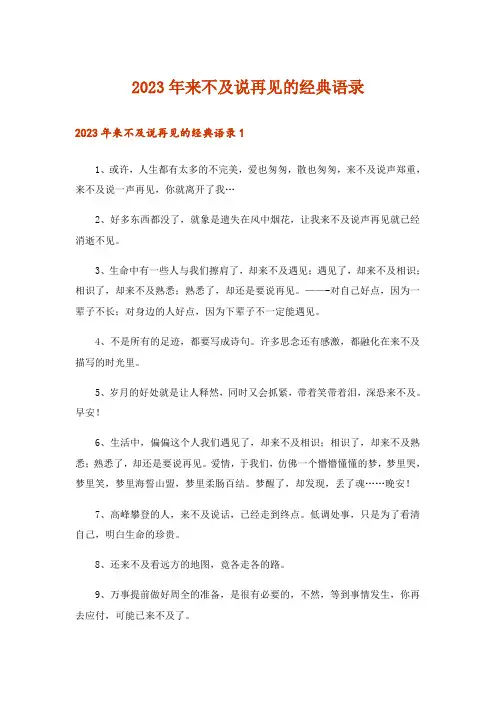 2023年来不及说再见的经典语录