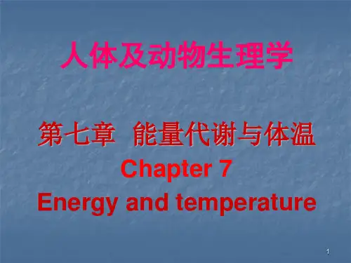 生理学能量代谢ppt课件
