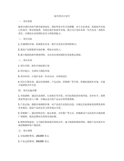 海外项目计划书