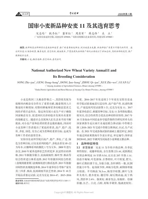 国审小麦新品种安麦11及其选育思考
