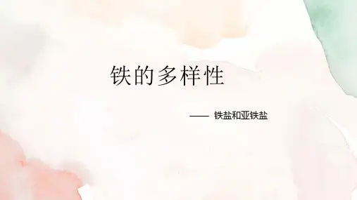 铁盐与亚铁盐课件-高一上学期化学人教版(2019)必修第一册
