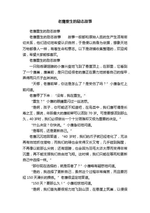 老鹰重生的励志故事