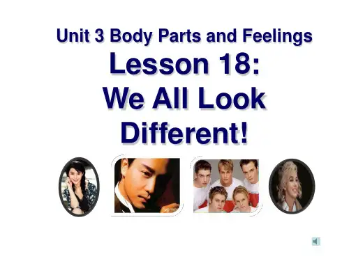 冀教版七年级英语上册  Unit 3 Lesson 18 《We All Look Differen
