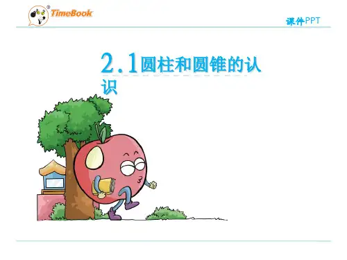 【苏教版】六年级下册数学：2.1《认识圆柱和圆锥》ppt课件
