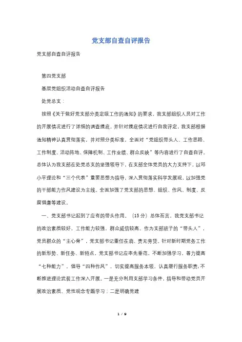 党支部自查自评报告