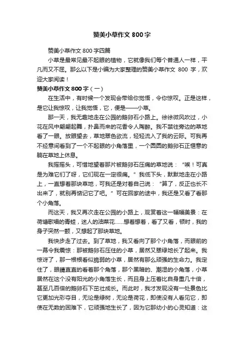 赞美小草作文800字四篇