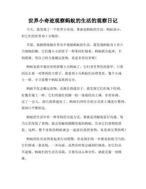 小学三年级作文世界小奇迹观察蚂蚁的生活的观察日记
