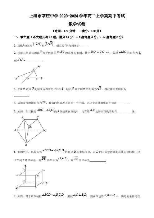 上海市莘庄中学2023-2024学年高二上学期期中考试数学试卷(含简单答案)