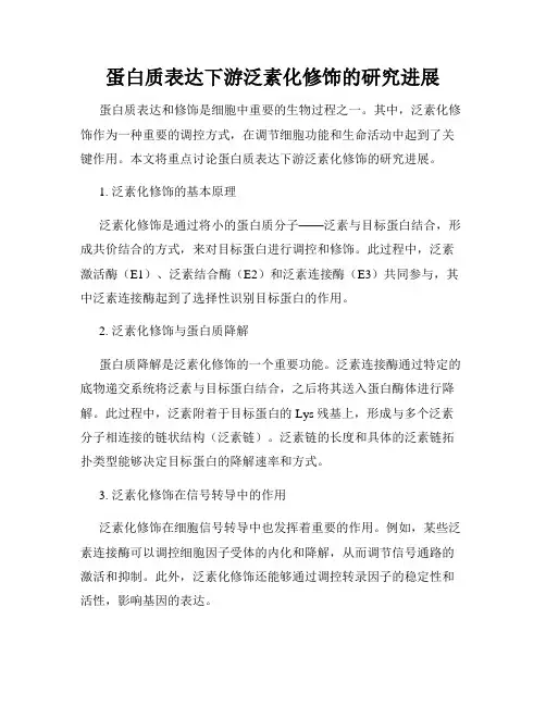 蛋白质表达下游泛素化修饰的研究进展