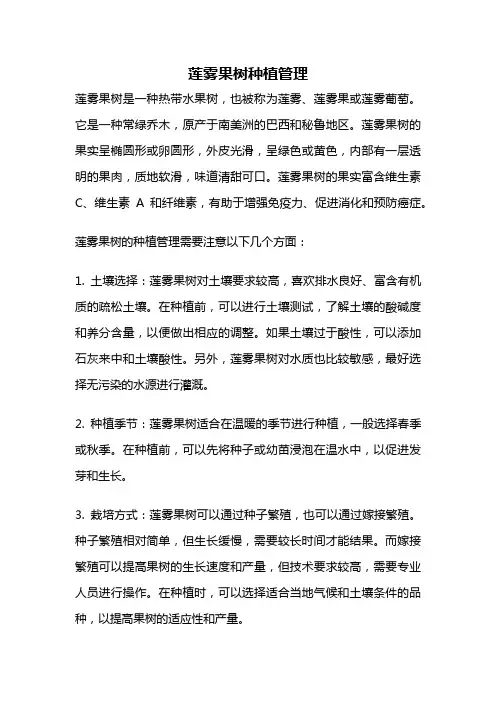 莲雾果树种植管理