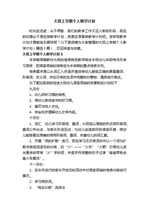 大班上学期个人教学计划