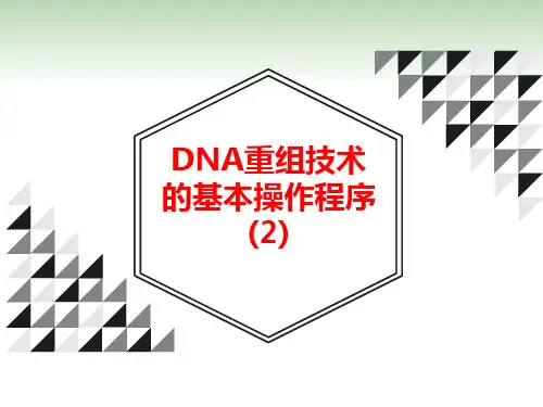 人教版生物选修三1.2节DNA重组技术的基本操作程序(2)基因表达载体的构建课件(共18张PPT)(