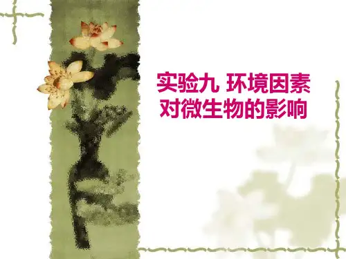 实验九 环境因素对微生物的影响