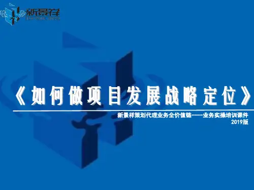 如何做项目发展战略定位
