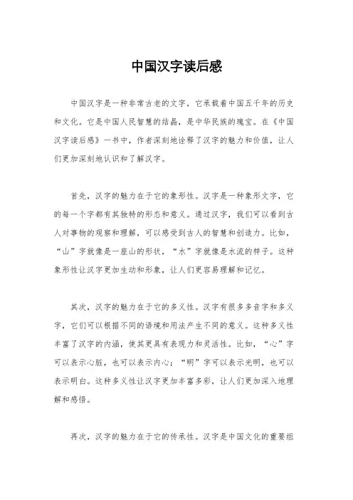 中国汉字读后感