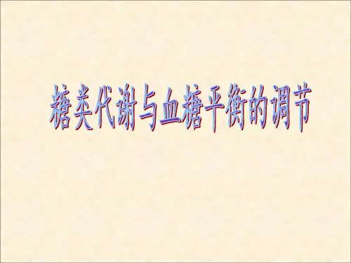 (M)糖代谢与血糖平衡的调节--一轮复习