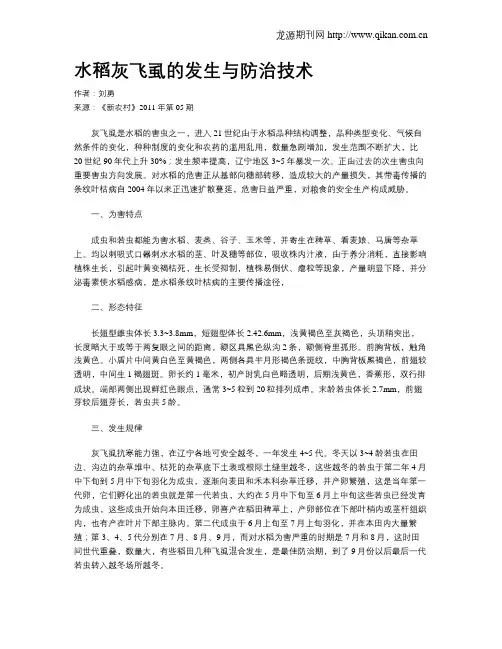 水稻灰飞虱的发生与防治技术