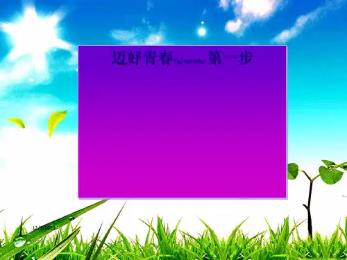 七年级政治上册 第一单元 第二课 第1框 迈好青春第一步课件 鲁教级上册政治课件